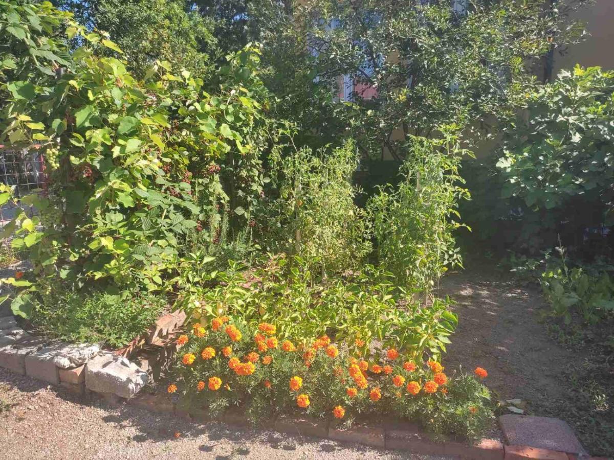 Appartement Apartman Hujic à Bihać Extérieur photo